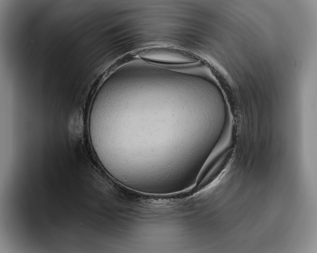 X0000091640969200709201105