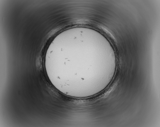 X0000091640970200709201105