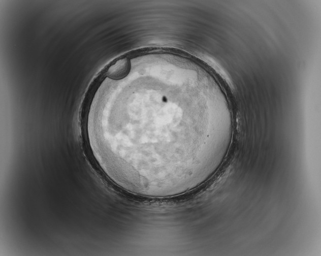 X0000091640972200709201105
