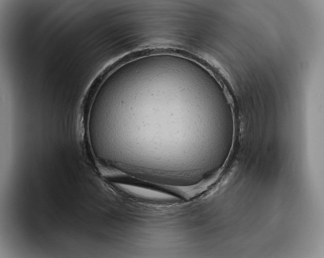 X0000091640973200709201105