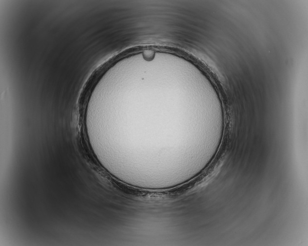 X0000091640974200709201105