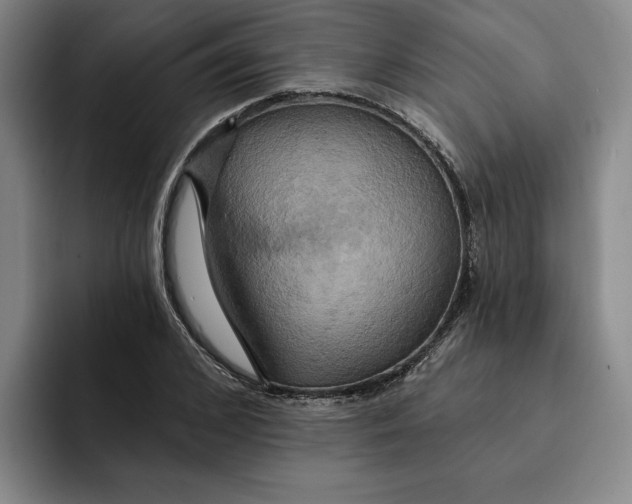 X0000091640976200709201105