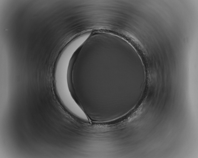 X0000091640977200709201105