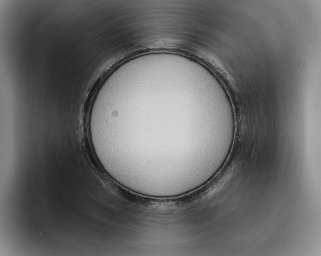 X0000091640978200709201105