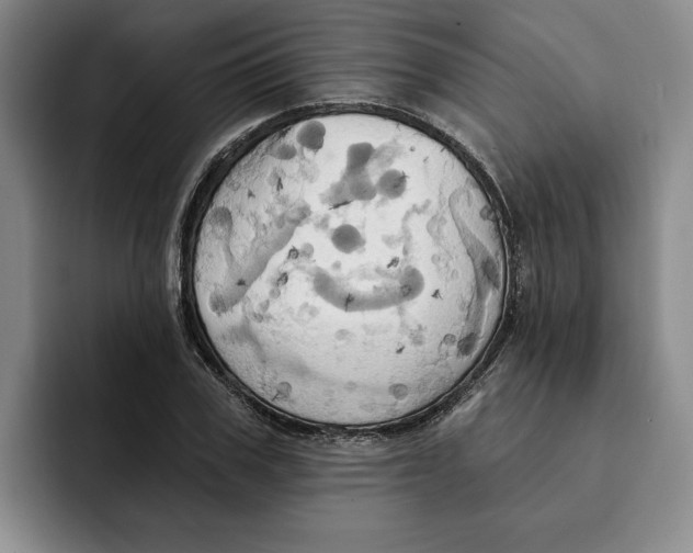 X0000091640979200709201105