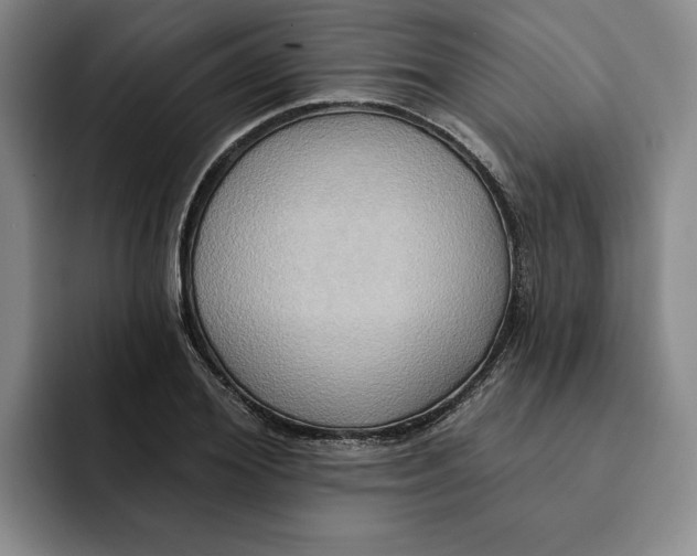 X0000091640980200709201105