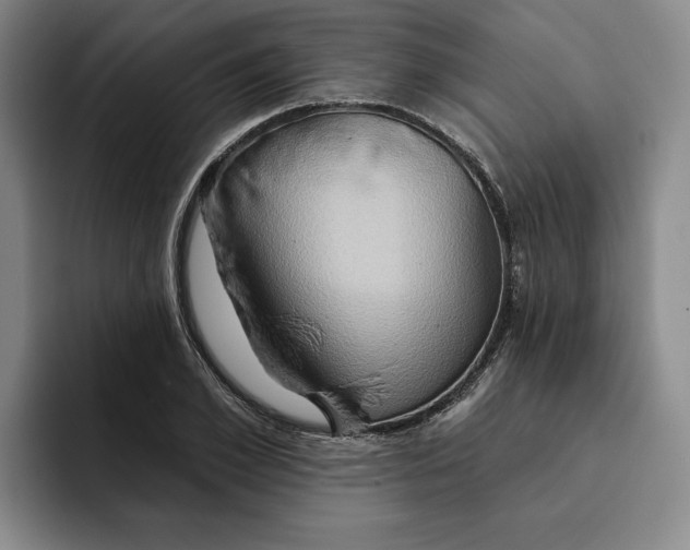 X0000091640981200709201105
