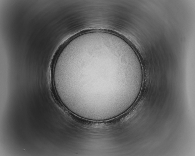 X0000091640982200709201105
