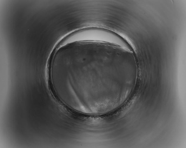 X0000091640983200709201105