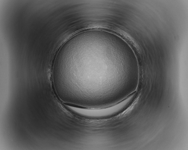 X0000091640985200709201105