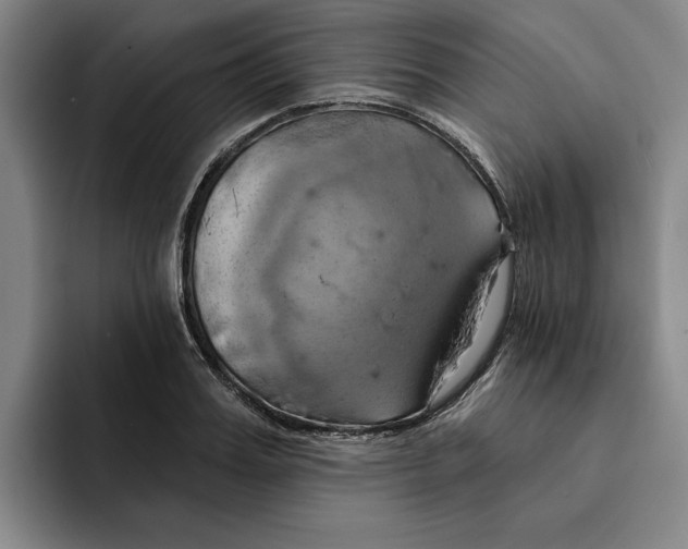 X0000091640987200709201105