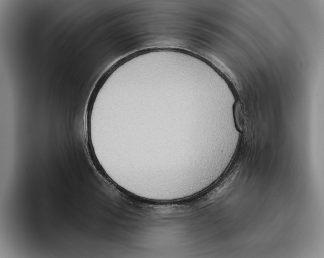 X0000091640988200709201105
