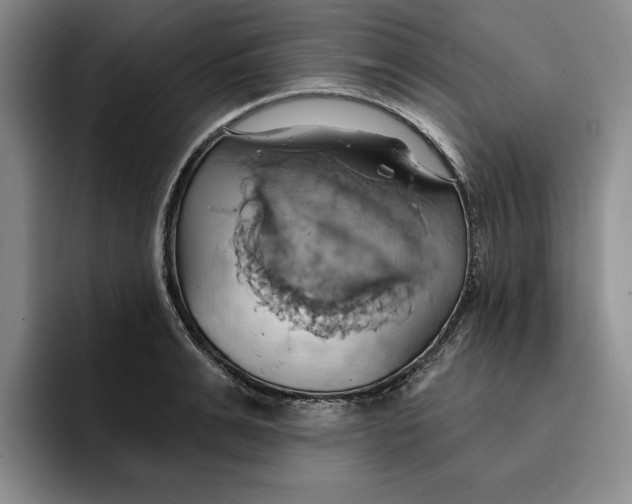 X0000091640991200709201105
