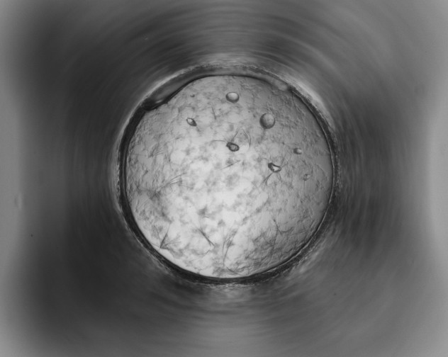 X0000091640992200709201105