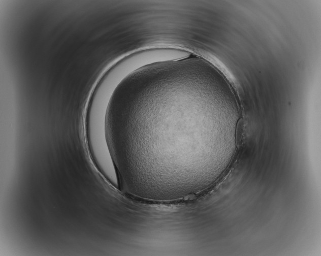 X0000091640996200709201105