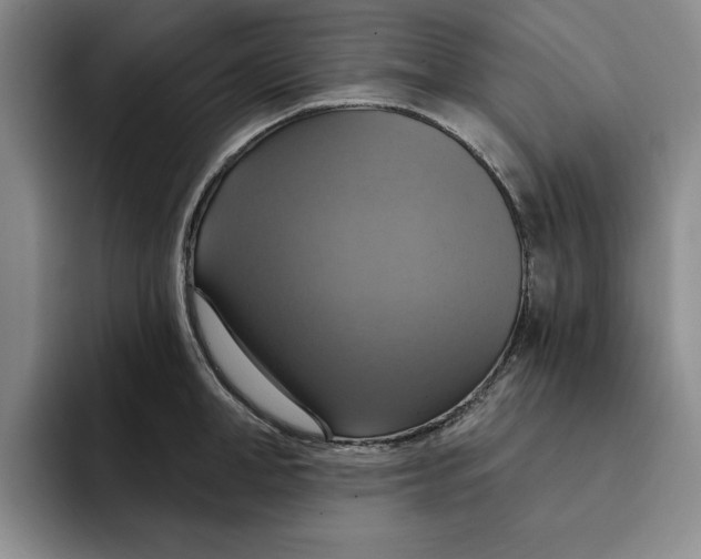 X0000091640998200709201105