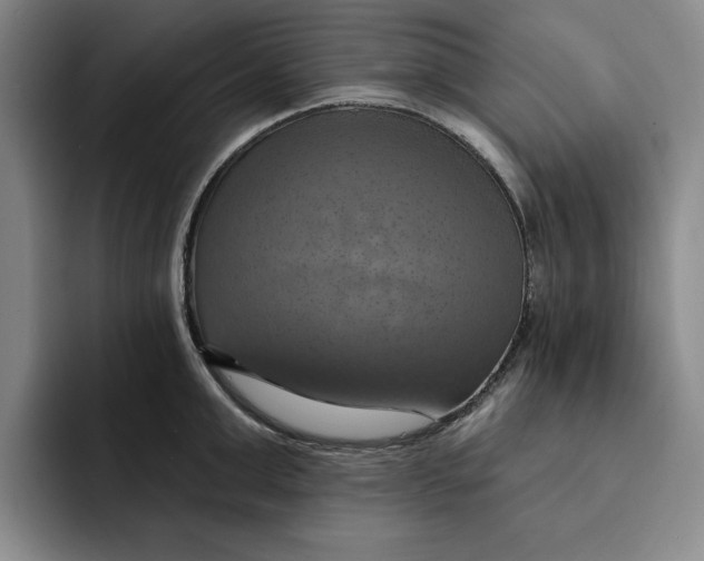 X0000091640999200709201105