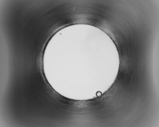 X0000091641000200709201105