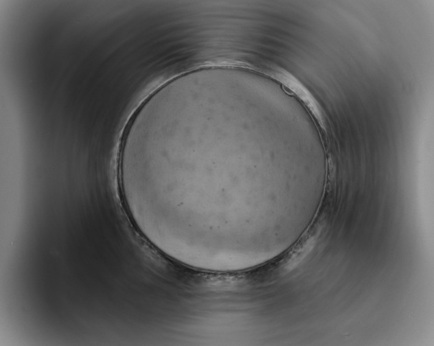 X0000091641002200709201105