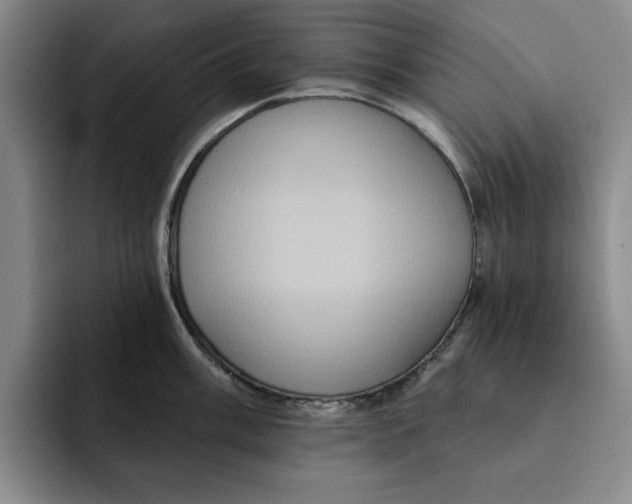 X0000091641003200709201105