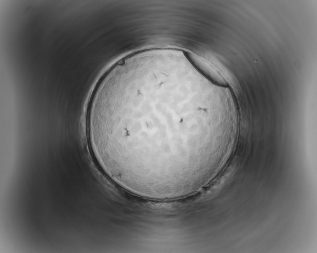 X0000091641004200709201105