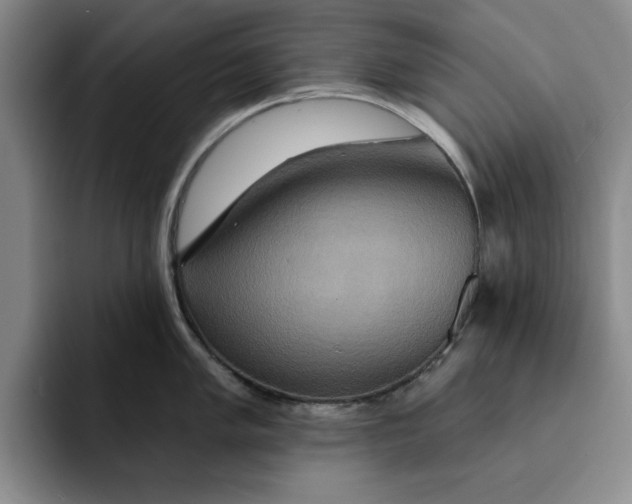X0000091641005200709201105