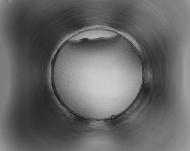 X0000091641006200709201105