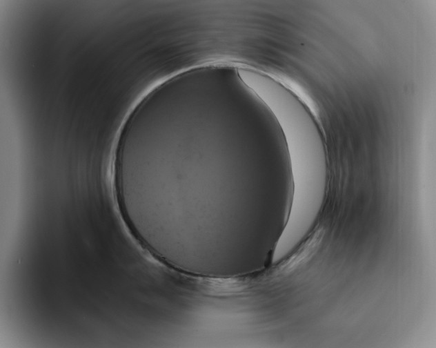 X0000091641007200709201104