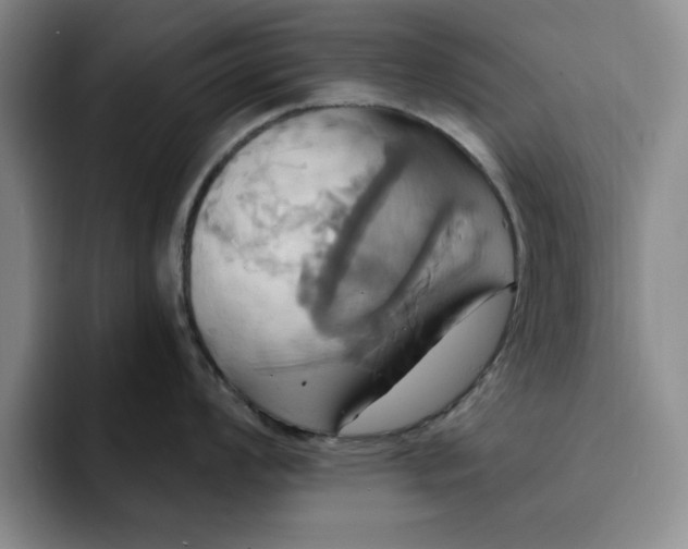 X0000091641008200709201104