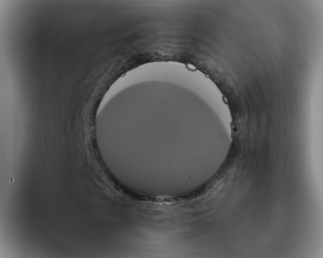 X0000091641009200709201104