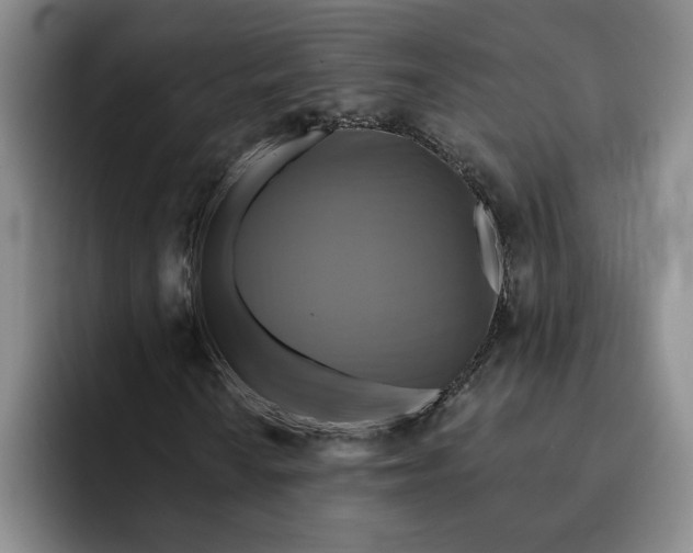 X0000091641010200709201104