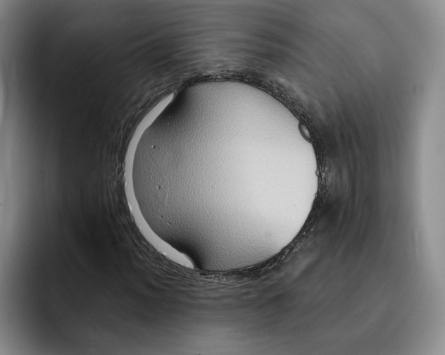 X0000091641012200709201104
