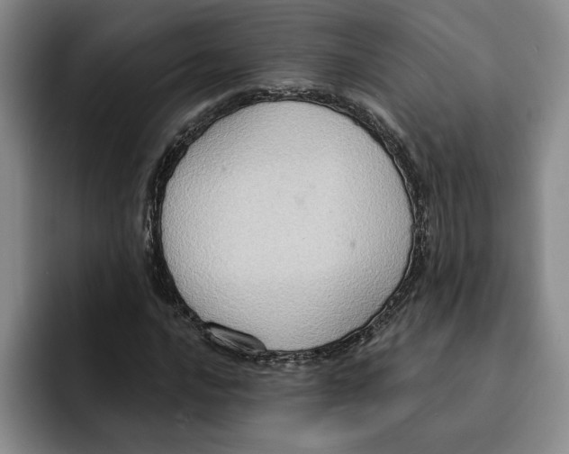 X0000091641016200709201104