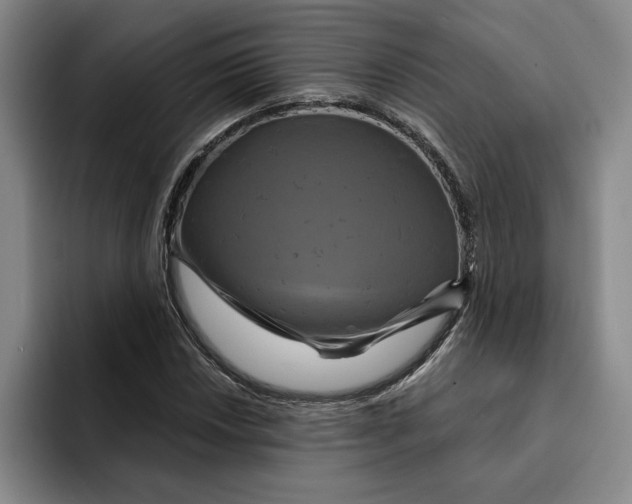 X0000091641018200709201104