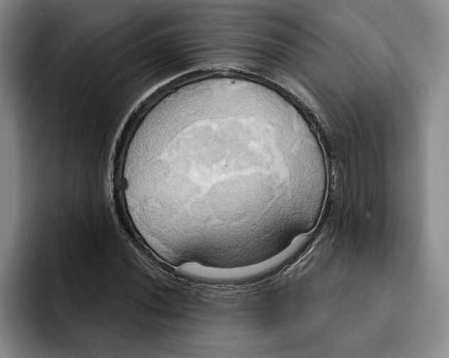 X0000091641020200709201104