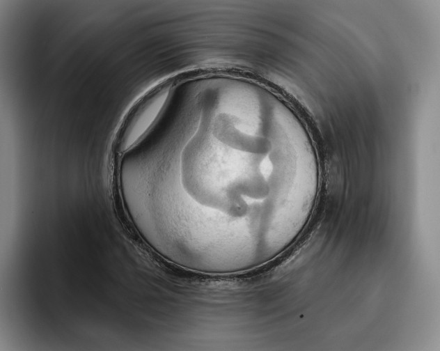 X0000091641021200709201104