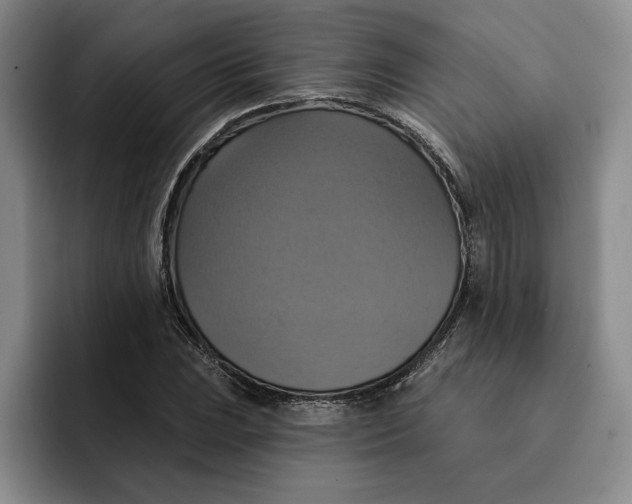 X0000091641023200709201104