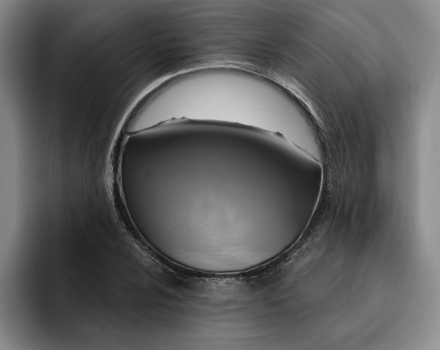 X0000091641024200709201104