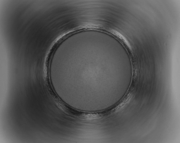 X0000091641027200709201104