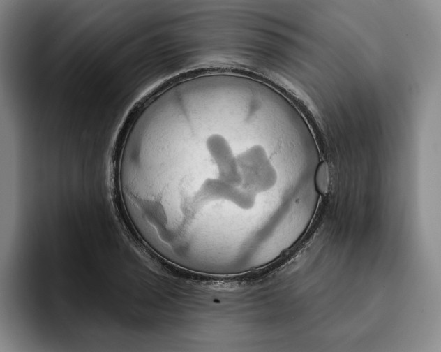 X0000091641029200709201104