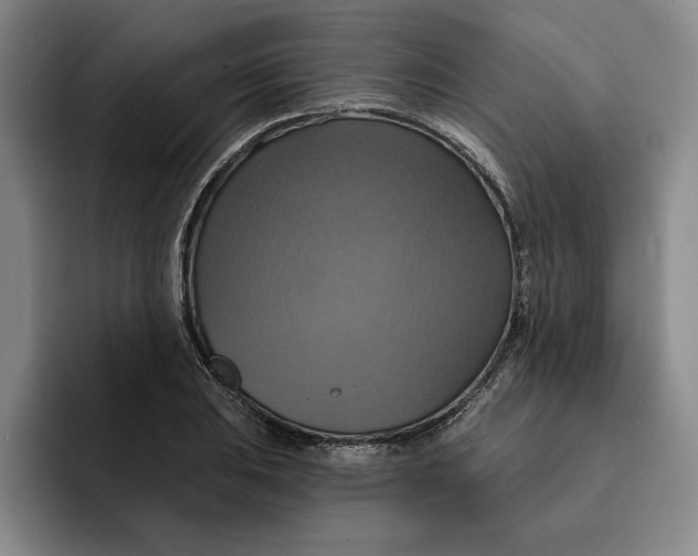 X0000091641031200709201104