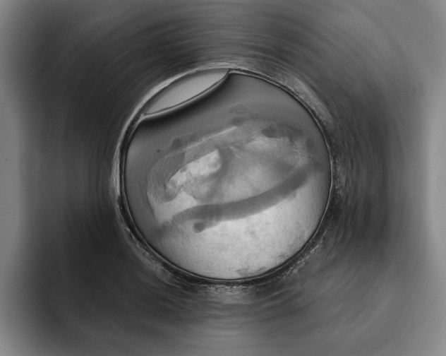 X0000091641036200709201104