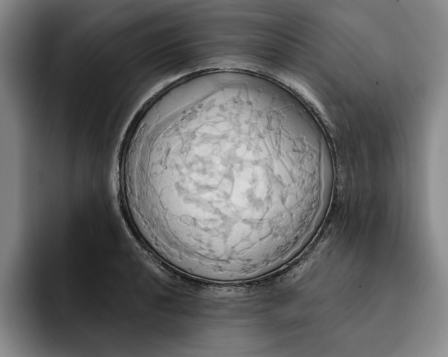 X0000091641040200709201104