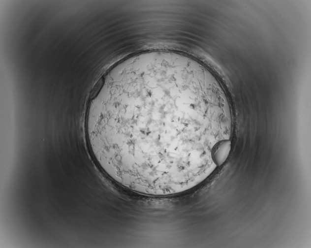 X0000091641041200709201104