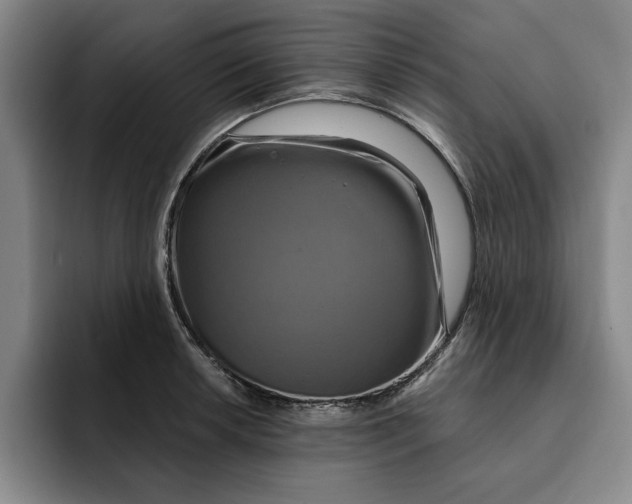 X0000091641042200709201104