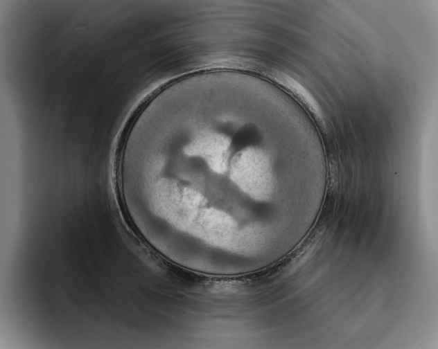 X0000091641043200709201104