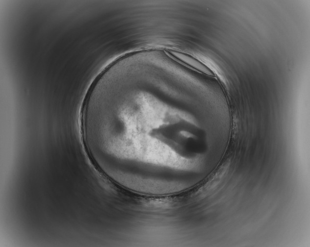 X0000091641047200709201104