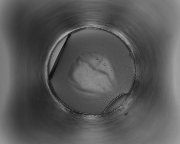 X0000091641048200709201104