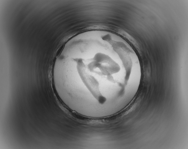 X0000091641049200709201104