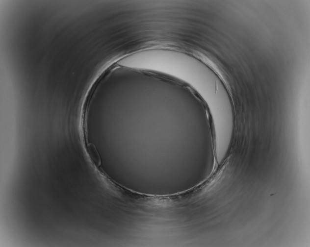 X0000091641050200709201104